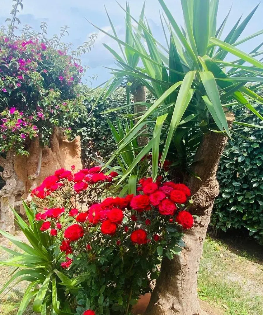 Villa Casa Oberto à Porto San Paolo  Hébergement de vacances Porto San Paolo (Sardinia)