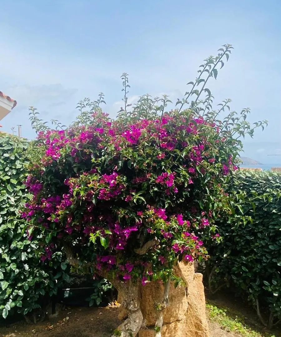 Hébergement de vacances Villa Casa Oberto à Porto San Paolo  Italie